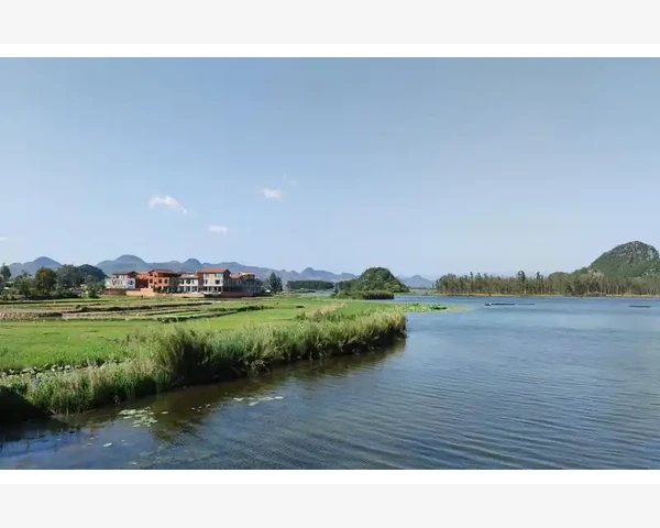 清肺火，让呼吸更畅快
